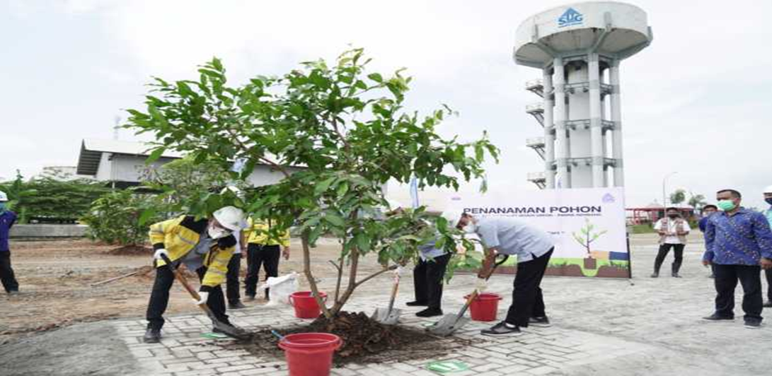 Penanaman Pohon FATTKA